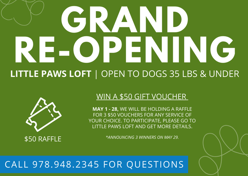 Muddy Creek Animal Care Center Rowley veterinarians